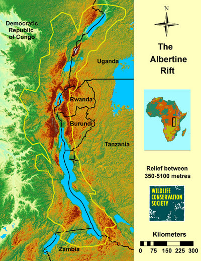 Albertine Rift relief